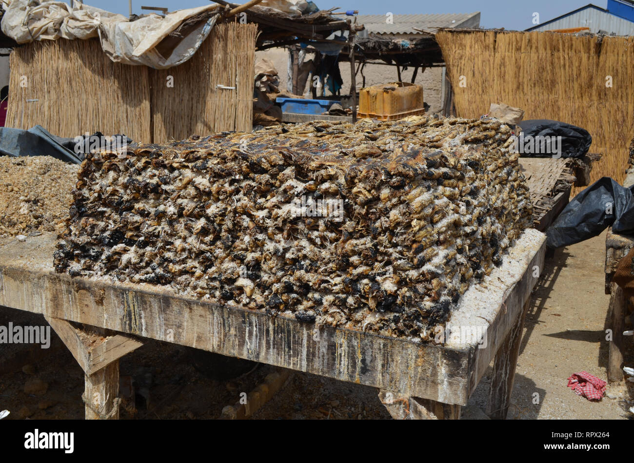 Die Bereiche für die traditionelle Produktion von getrockneten, geschmort und gesalzener Sardinellen (Kejax getrockneten Fisch) in der Nähe von Mbour Senegal Stockfoto