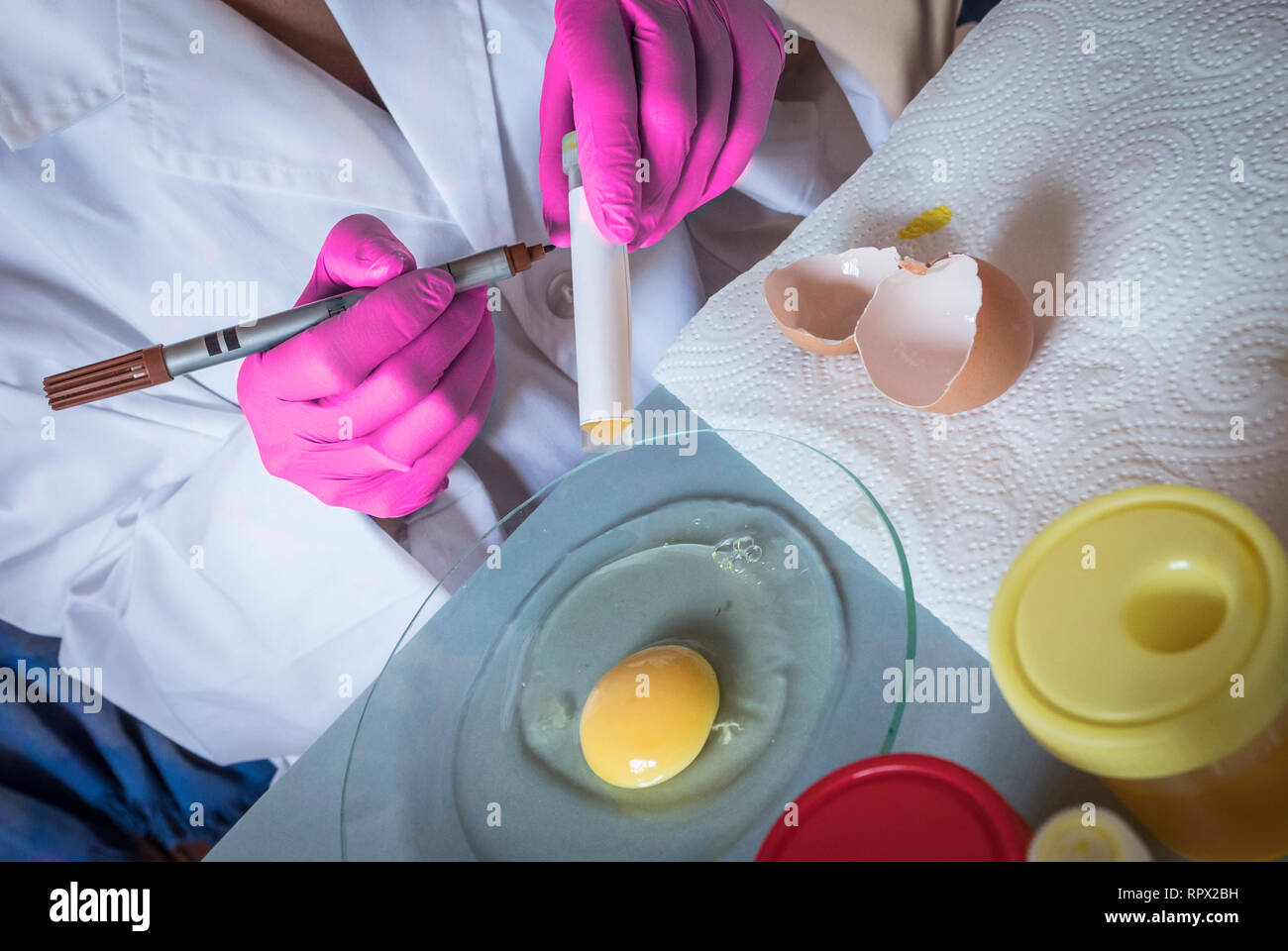 Wissenschaftler im Labor untersucht die Krise, die durch den Betrug des kontaminierten Eier mit Fipronil in Spanien verursacht Stockfoto