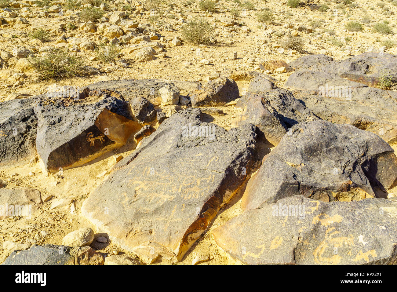 Alte Felsen engravements in der Nähe von Sde Boker, der Wüste Negev im Süden Israels Stockfoto