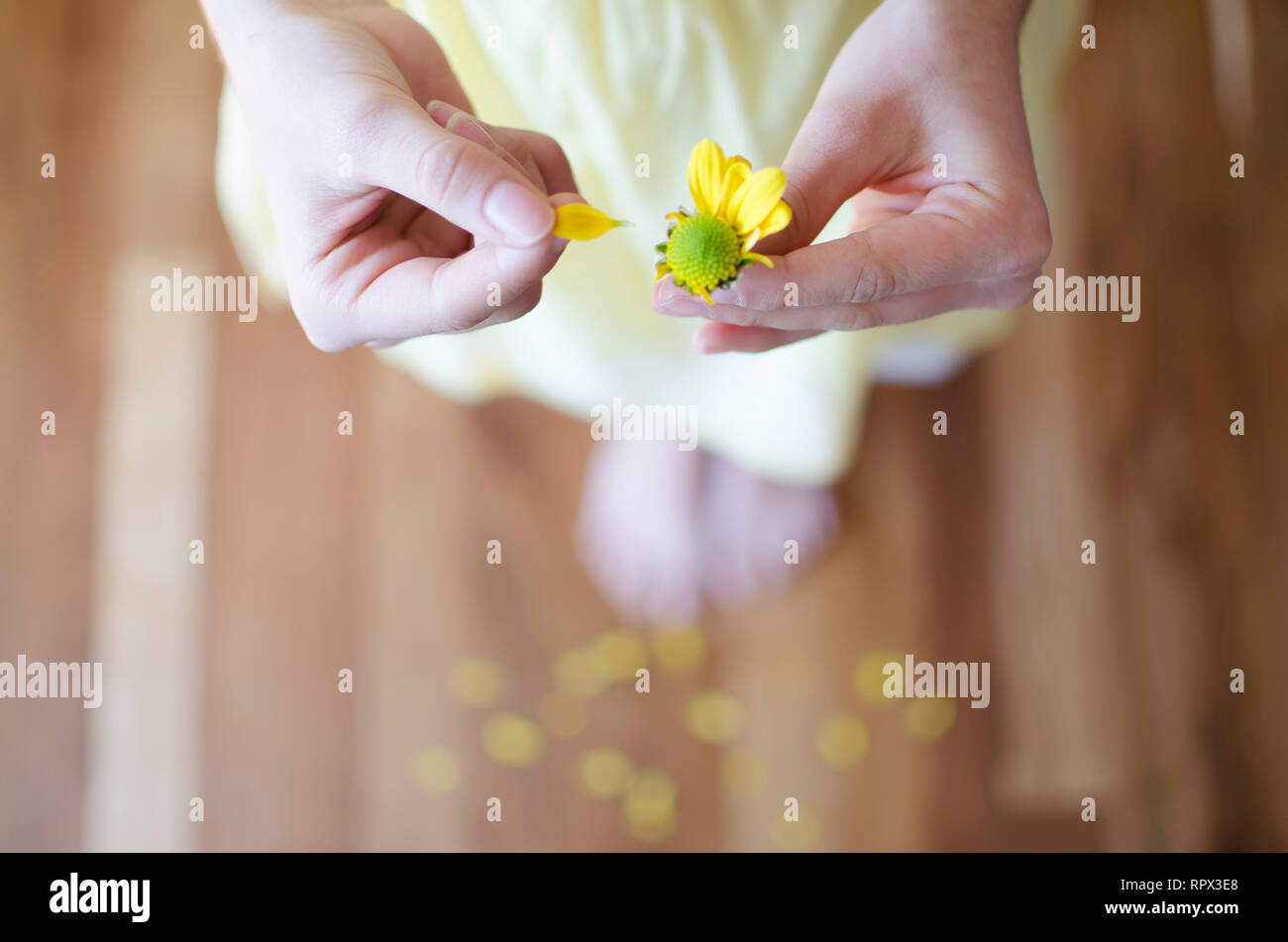 Mädchen Blütenblätter aus der Kommissionierung eine Blume Stockfoto