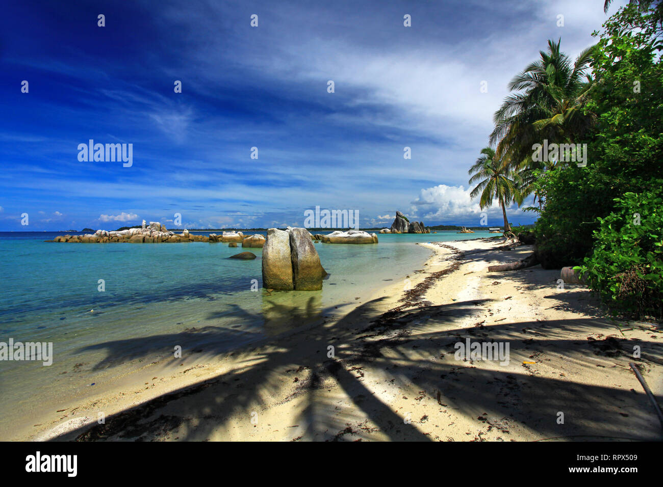 Palmen Schatten am Strand, Indonesien Stockfoto