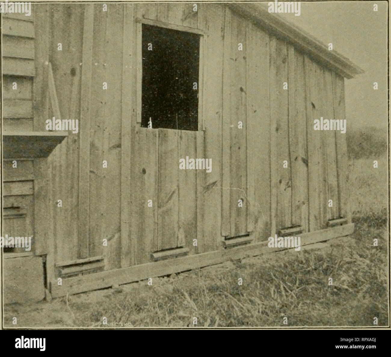 . Luzerne, Heuschrecken, Bienen: ihre Beziehung. Alfalfa. [Aus dem alten Katalog]; Heuschrecken. [Aus dem alten Katalog]; Bienen. [Aus dem alten Katalog]. 132 EIN JAHR UNTER DEN BIENEN. Ein Start dieser Art zu erhalten, wie Sie sie es ewig halten, wenn Sie auf den Geschmack kommen. Um dies zu verhindern, müssen wir alle Kolonien mit guten fruchtbaren Königinnen liefern und Prüfung eines Jeden, zu ermitteln, wenn Sie über die Königinnen. Wenn die Bienen werden queenless sie nicht de-ihre Stores abzuwehren, und Räuber Bienen bald finden sie heraus. Wir müssen uns nicht verlassen, Honig Runde liegen achtlos oder haben es gespeichert, wo die Bienen es erreichen kann. Alle knacken Stockfoto