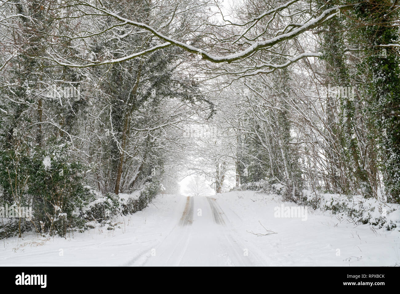 Schneebedeckte Landstraße in der Nähe von Eastleach im Januar. Eastleach, Cotswolds, Gloucestershire, England Stockfoto
