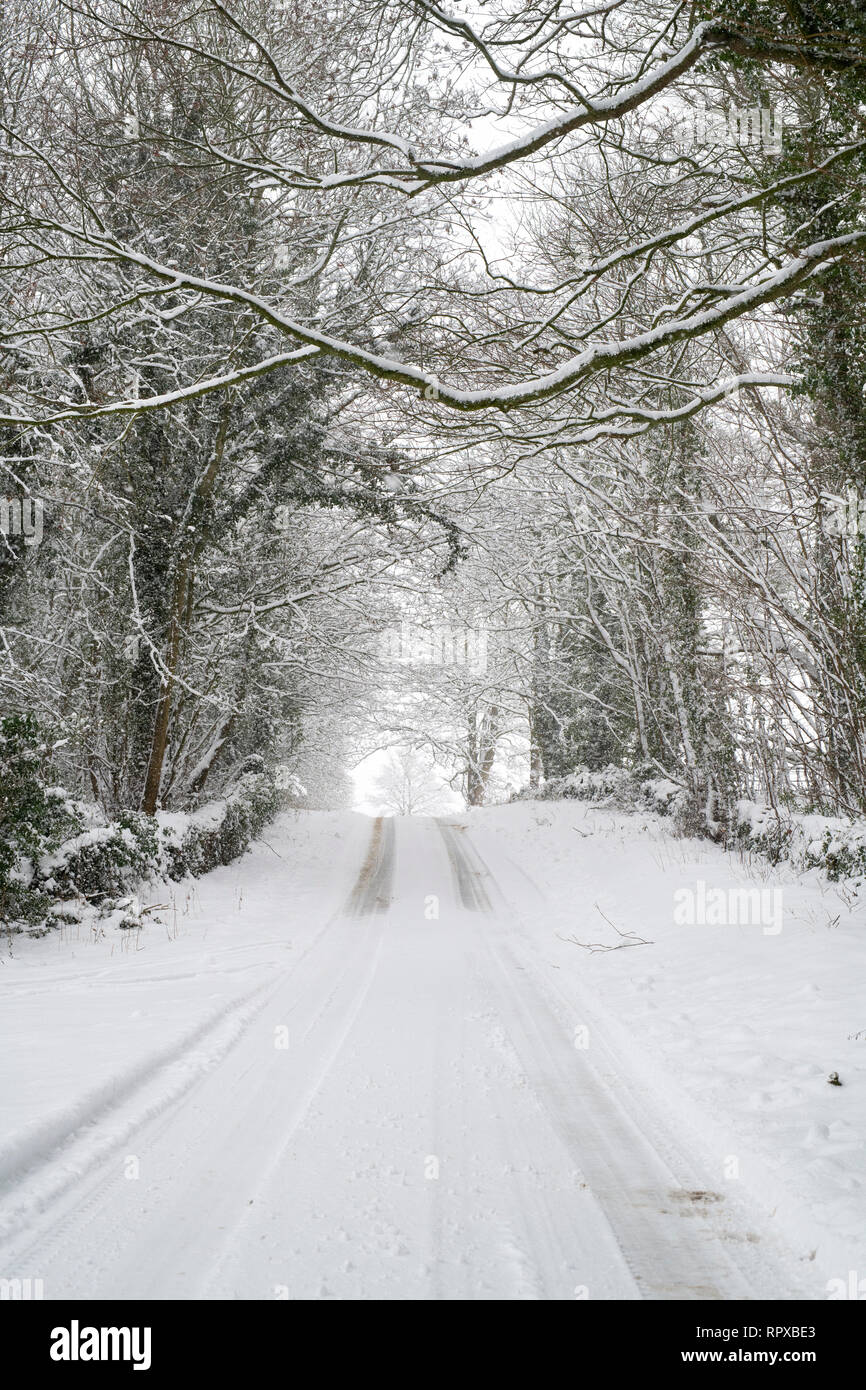 Schneebedeckte Landstraße nahe Eastleach im Februar. Eastleach, Cotswolds, Gloucestershire, England Stockfoto