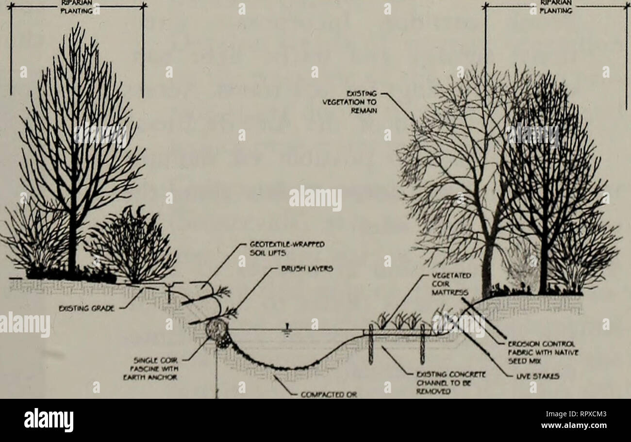 . Alewife Reservierung & Amp; Alewife Brook master plan. Feuchtgebiete; Schutz der Feuchtgebiete. Empfehlungen 1. Die cattail Marsh Wiederherstellen als Öko-logisch wertvolle Feuchtgebiet. Entfernen Sie die invasive Schilf {Phragmites aus tralis) und verschiedene Lebensräume einschließlich der offenen Wasser, Sumpf, und niedrige Marsh. Die Durchführbarkeit der Ausgrabung untersuchen zu fluten. Stor-age Kapazität des wetiand erhöhen. Ein anrainer Puffer die Vielfalt der Flora und Fauna zu erhöhen und dazu beitragen, die Behandlung von eingehenden Regenwasser. Darüber hinaus ist die Schaffung eines offenen, natürlichen Kanal Verbindung von der ma Stockfoto