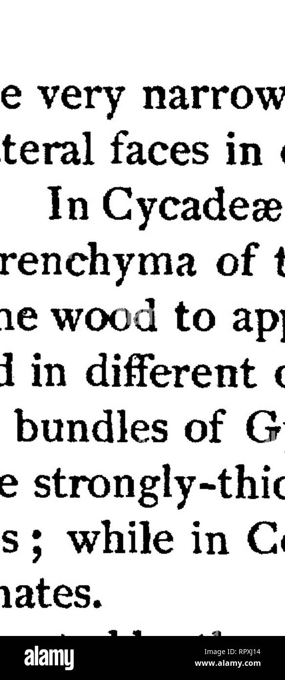 . Lehrbuch der Botanik, morphologischen und physiologischen. Botanik