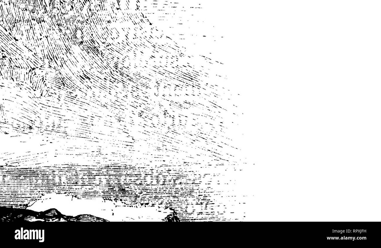 . Histoire Naturelle des mammifères, avec l'Angabe de Leurs, moeurs et de leurs Mehrfachrapport avec les Arts, le Commerce et l'agriculture;. Säugetiere. 302 ORDRE DES PHOQUES. Auf la trouve surtout dans les régions Alles aus Fleece, au Groenland, en Islande et en Norwége; mais elle vient quelquefois jusque sur les Côtes de la Grande-Bretagne. En 1843, auf einem Pris, à l'île d'Oléron, un-Phoque encore assez Jeune qui appartient au Phoque à Crête ou tout au * à une espèce très - Voisine, Mais certainement du même Genre. J'en ai Donné la des-cription et la Abbildung dans ma Zoologie française. La Abbildung a été Rep Stockfoto