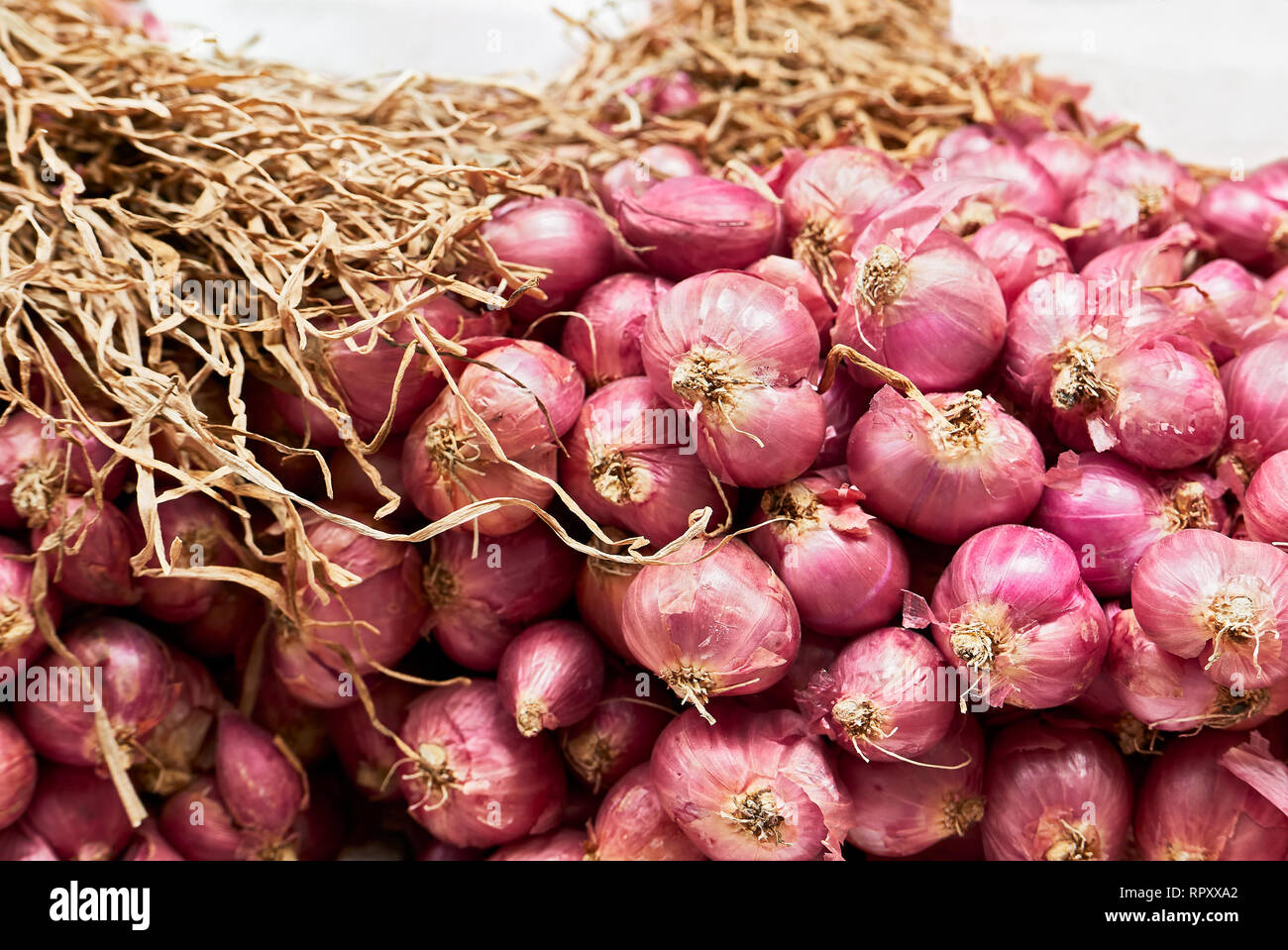 Nahaufnahme eines isolierten Bündel von kleinen roten Zwiebeln zusammen mit seinen trockenen Blätter angebracht, für den Verkauf in Chinatown, Manila, Philippinen Stockfoto