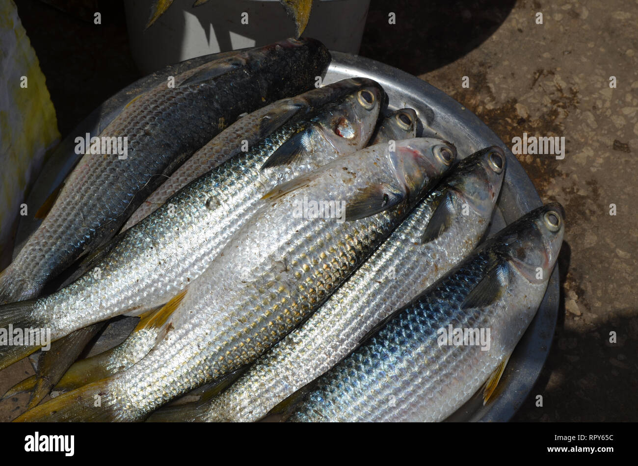 Besetzt Fischmarkt in Mbour, Senegal, einen regionalen Handel Hub Stockfoto