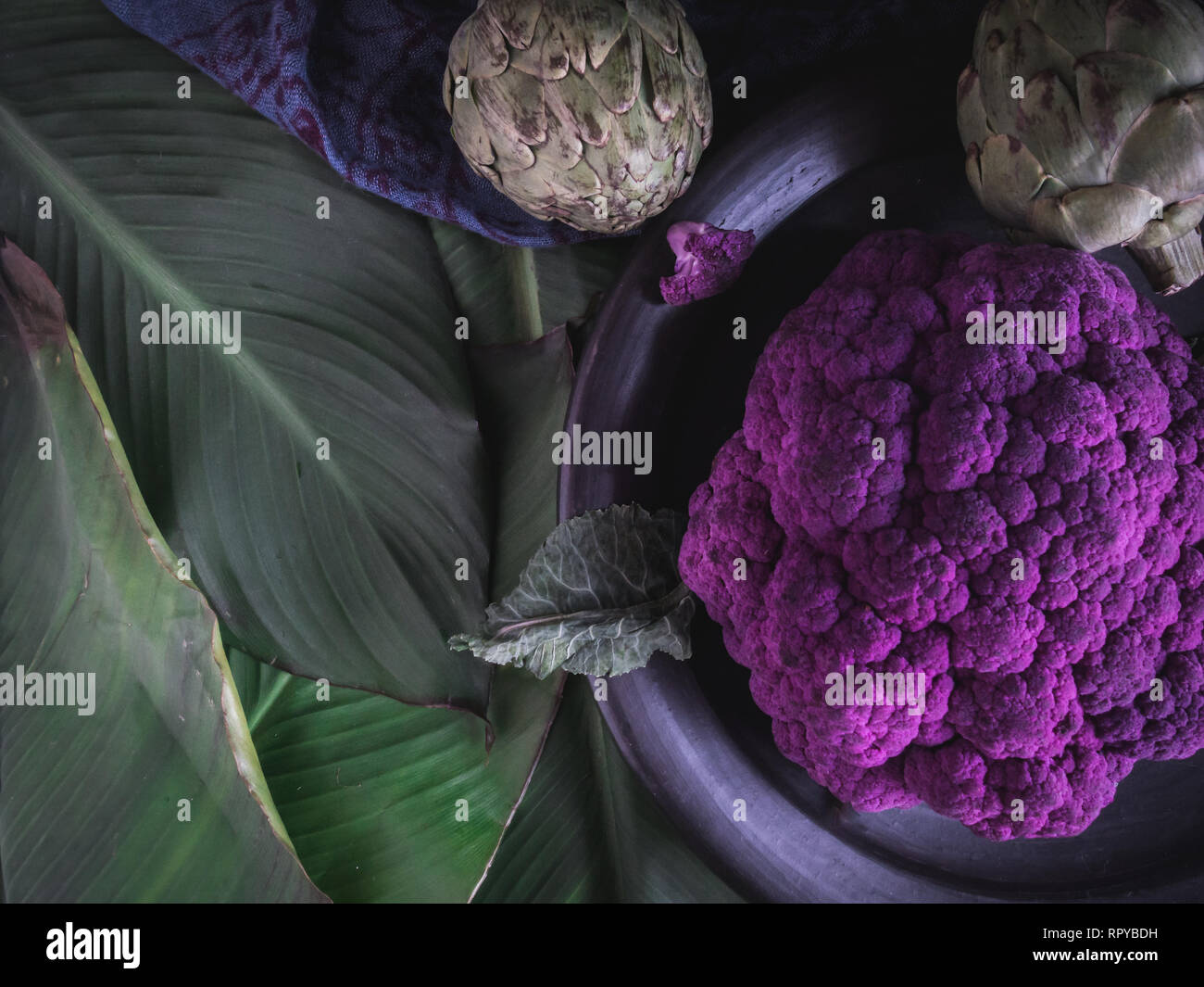 Moody Lila Blumenkohl mit begrünten Platz kopieren Stockfoto