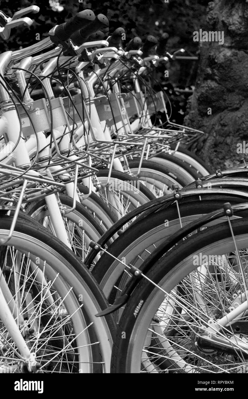 Nahaufnahme von Shared e-bikes in einer Reihe geparkt. Stockfoto