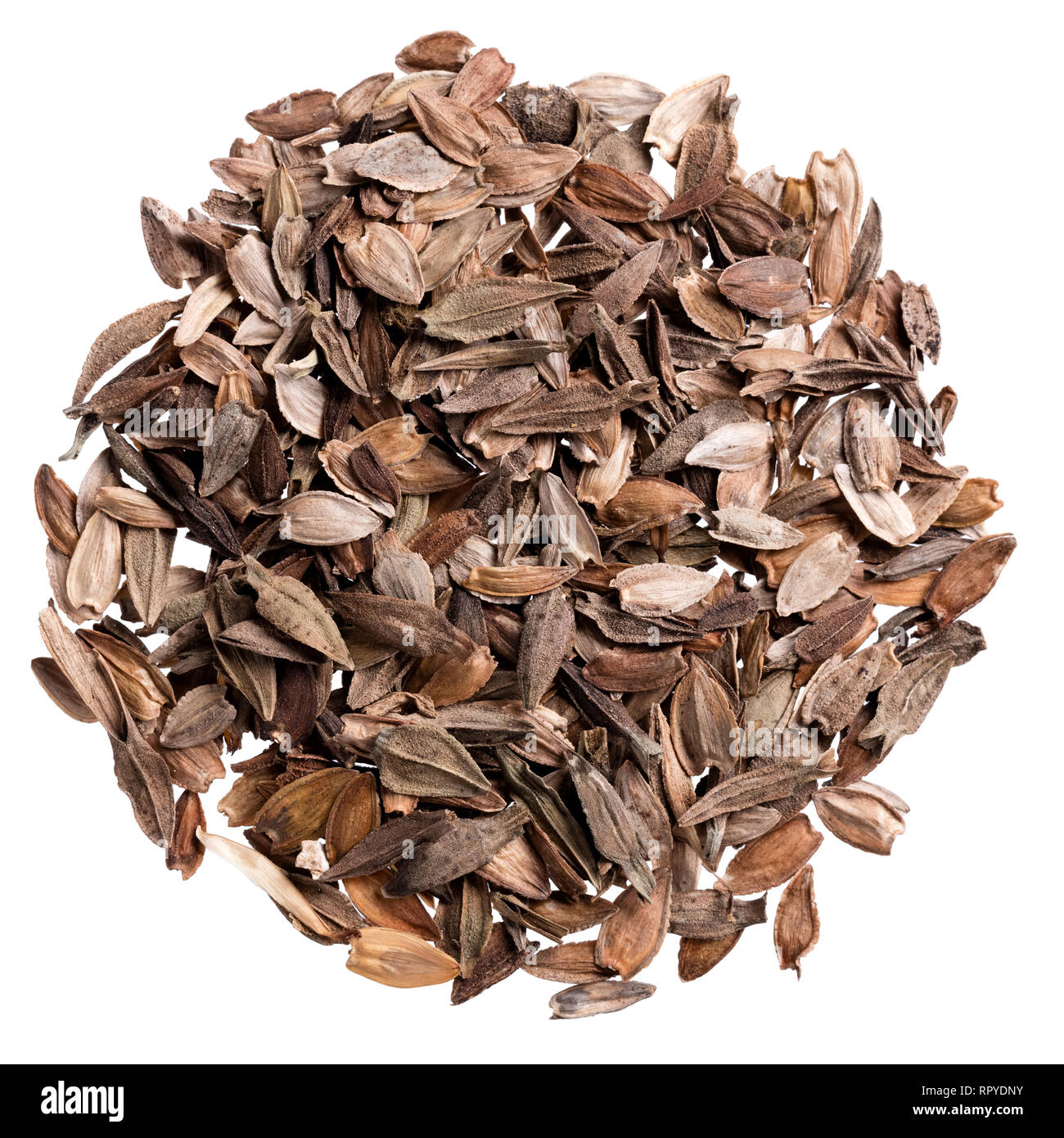 Ein Haufen Qualität Samen von zinnia, Blume für Ihr entzückenden Garten. Stockfoto