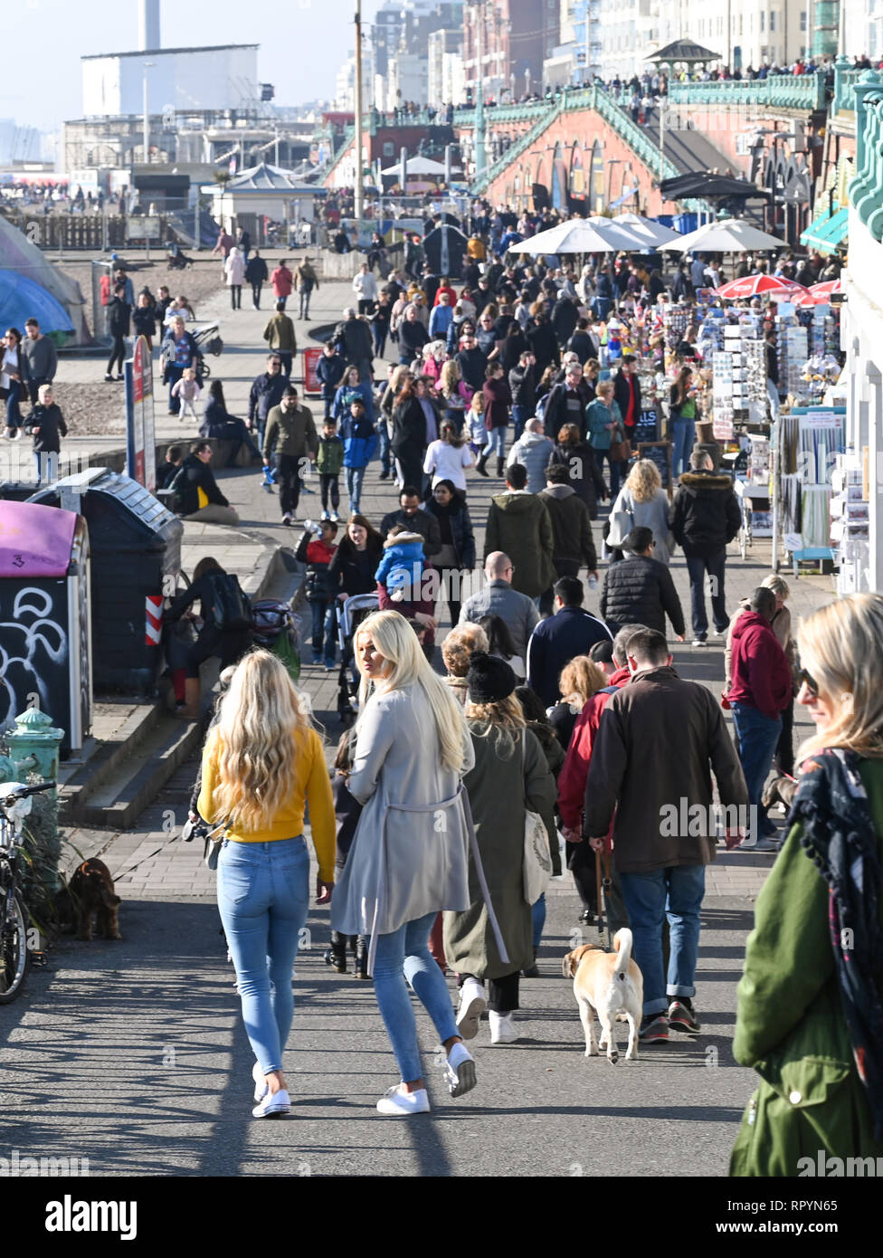 Brighton, Sussex, UK. 23. Februar 2019. Menschenmassen strömen in Brighton direkt am Meer und Strand, wie Sie die schönen, sonnigen und ungewöhnlich warmen Wetter für die Zeit des Jahres genießen Sie Prognose in den nächsten Tagen in ganz Großbritannien: Simon Dack/Alamy Live News, um fortzufahren Stockfoto