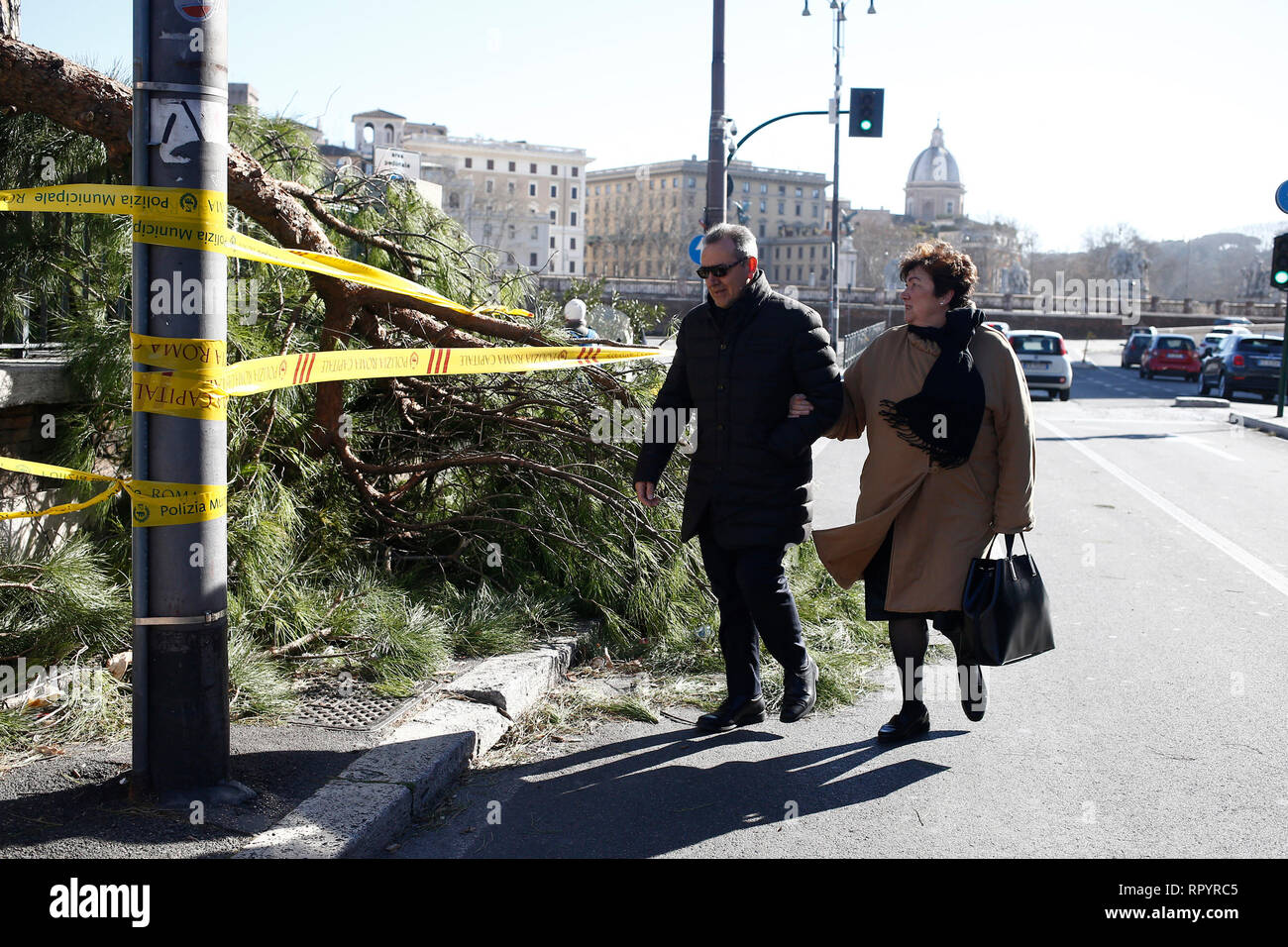 Foto Cecilia Fabiano - LaPresse 23-02-2019 Roma (Italia) Cronaca: Albero caduto pro Il Forte Vento Sul lungotevere Vaticano Stockfoto