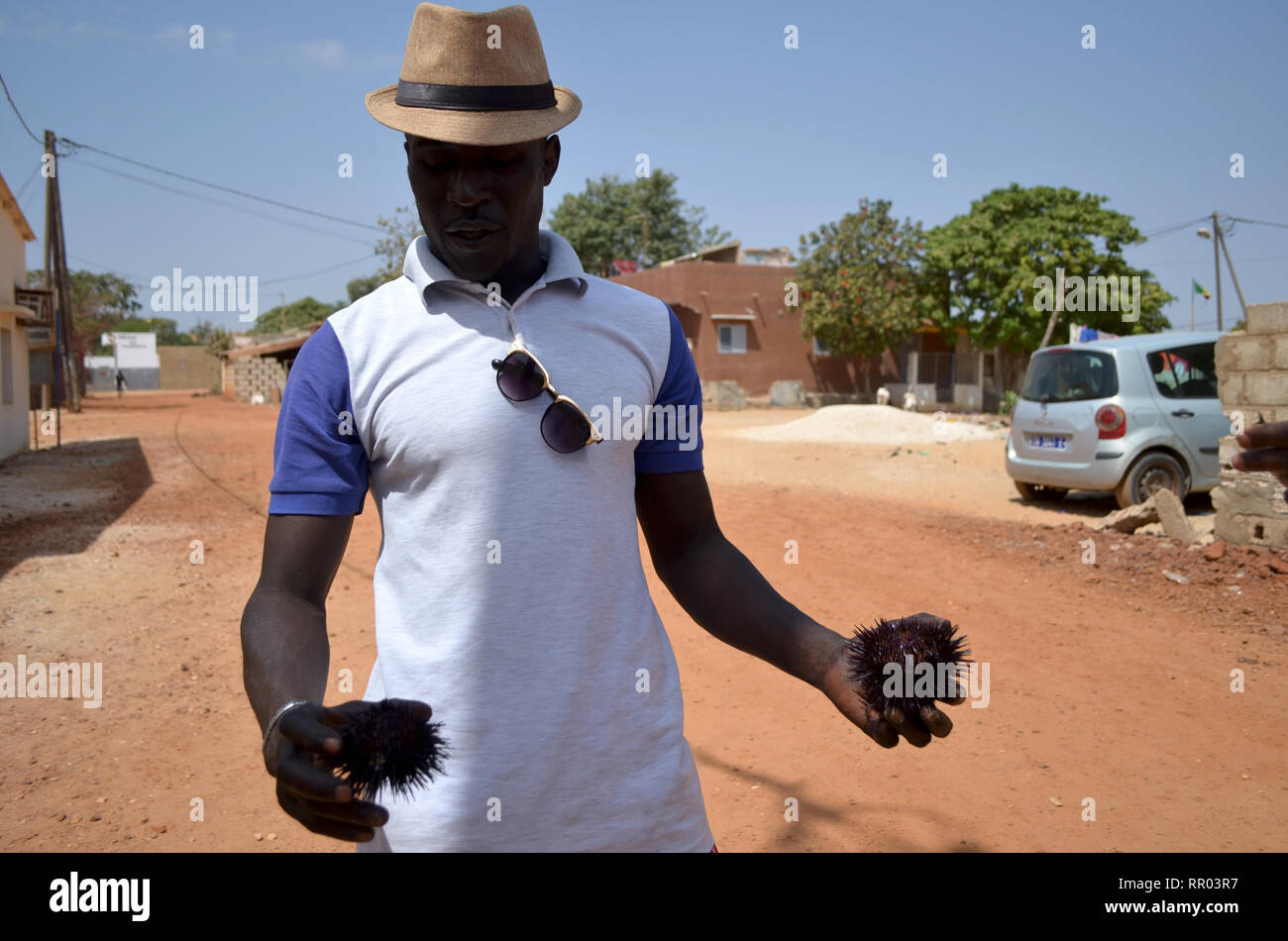 Handwerkliche Fischer mit frisch gefangenen Seeigel, Ngaparou Senegal Stockfoto