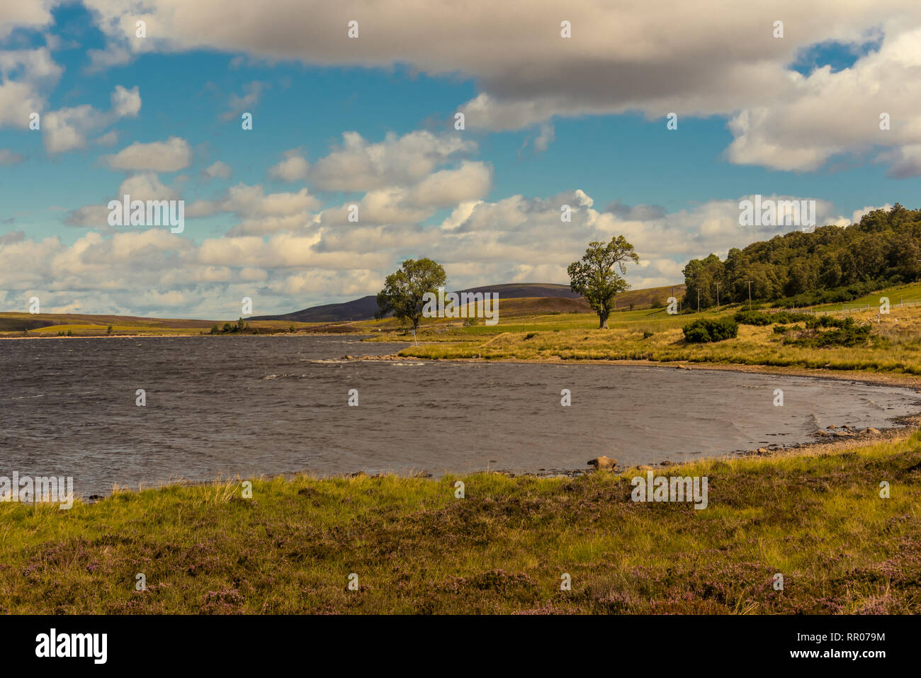 Typische Hinterland an der Ostküste mit kleinen Seen, Sutherland, Highlands, Schottland Stockfoto