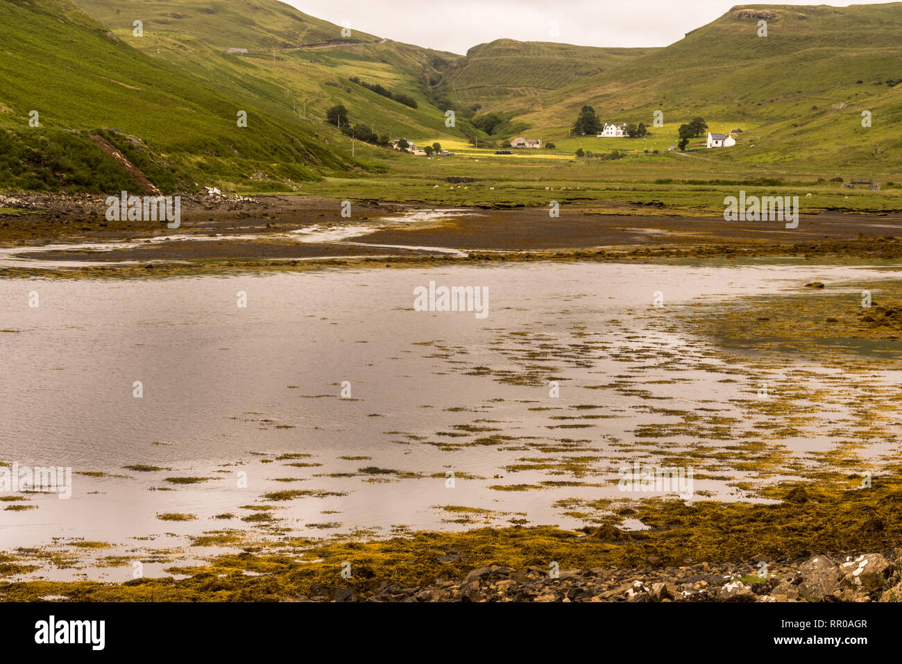 Typische Landschaft auf der Isle of Sky, Innere Hebriden, Schottland, Vereinigtes Königreich Stockfoto