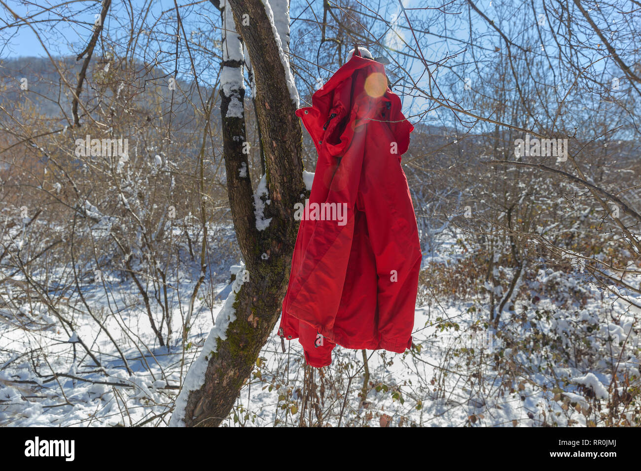 Red Sport Jacke hängen am Baum Zweige im Winter Forest Stockfoto