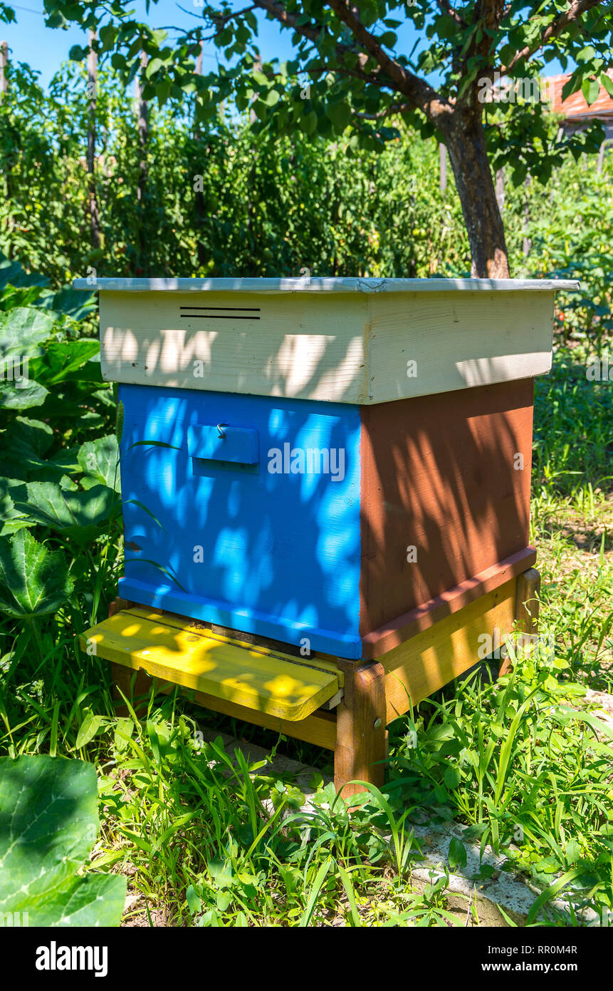 Holz Bienenkorb für Bienen. Die Bienenzucht. Stockfoto