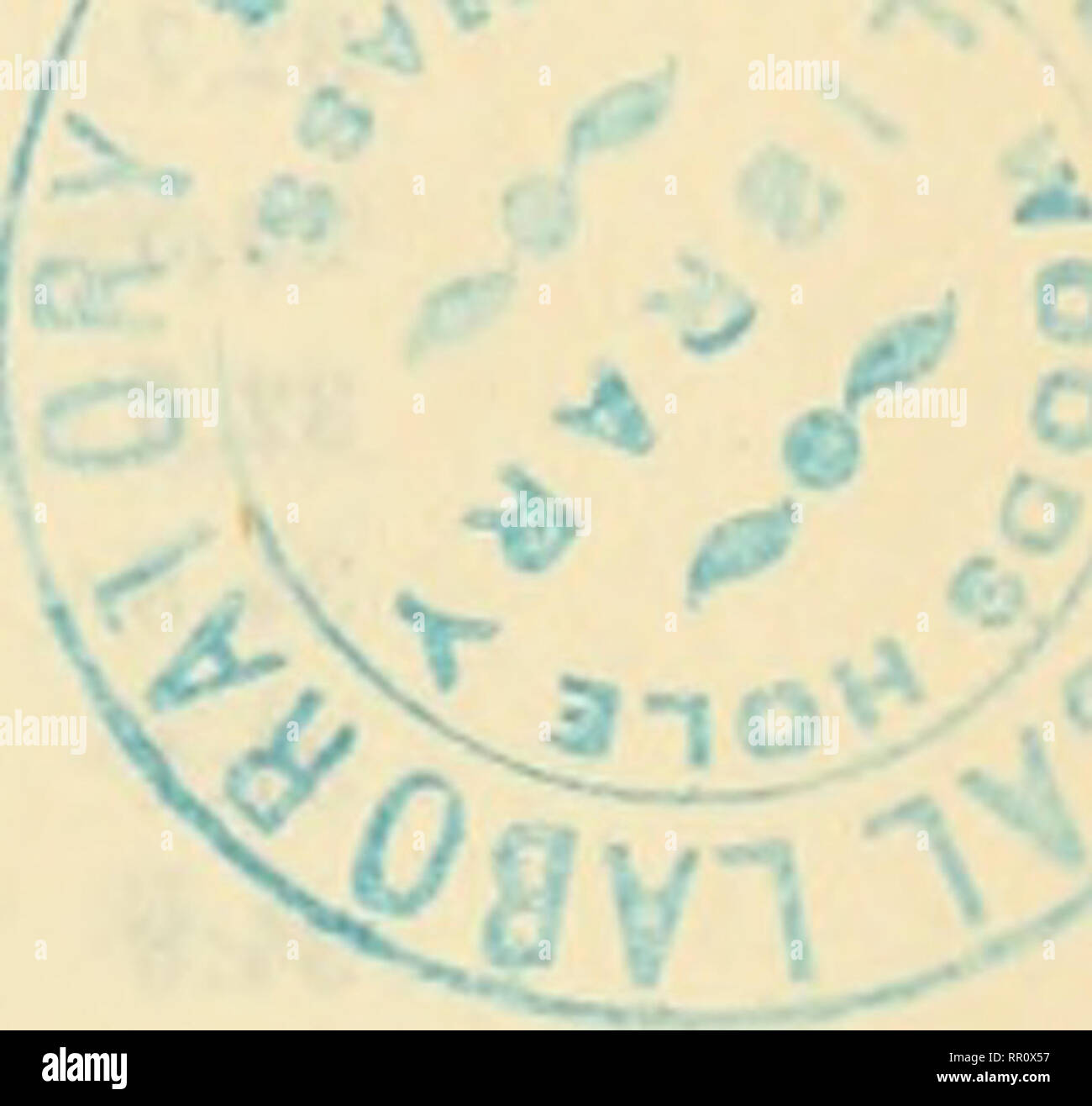 . Acta Societatis Scientiarum Fennicae. Wissenschaft. Zur IhiliTSKchiinçjen Thrnric der Ikdrurlil. ilca Mundes in firand iduiUiincir. Mcssunijcu. 13 A = 36,5 N; u; ich (-i. l'.) 17 NoNf. 26, 7 J" "III. z l). 1 11 III IV V VI II 111 l. X .1 XII r (ich.' Ich." iJi. S 52,2 36,4 27,4 19,4 17,4 19,8 27,9 37,1 44,2 43,5 47,6 45.T 47,4 38,2 26,5 20,4 17,0 20,5 29,9 35,3 46,8 42,2'. 6.4 48,5 40,0 35,6 24,2 19,5 18,0 19,1 21,6 39,8 46,5 48,5 47,6 49,9 48,0 35,4 25,2 21,0 18,6 19,9 22,9 38,5 43,2 44,9 49,5 54,5 47,2 45,5 23,1 18,6 14,2 20,0 22,5 31,2 53,2 43,6 47.: i 44,6 47,4 48,5 26,1 20,0 14,0 20,6 26,1 36. Stockfoto