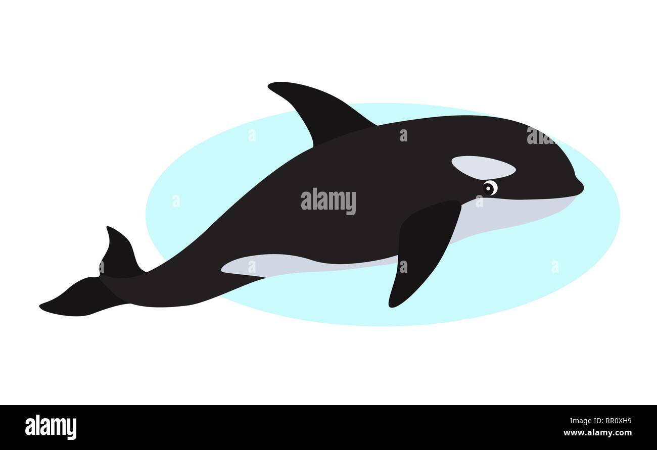 Orca Symbol, whale Killer, auf weißem Hintergrund Stock Vektor