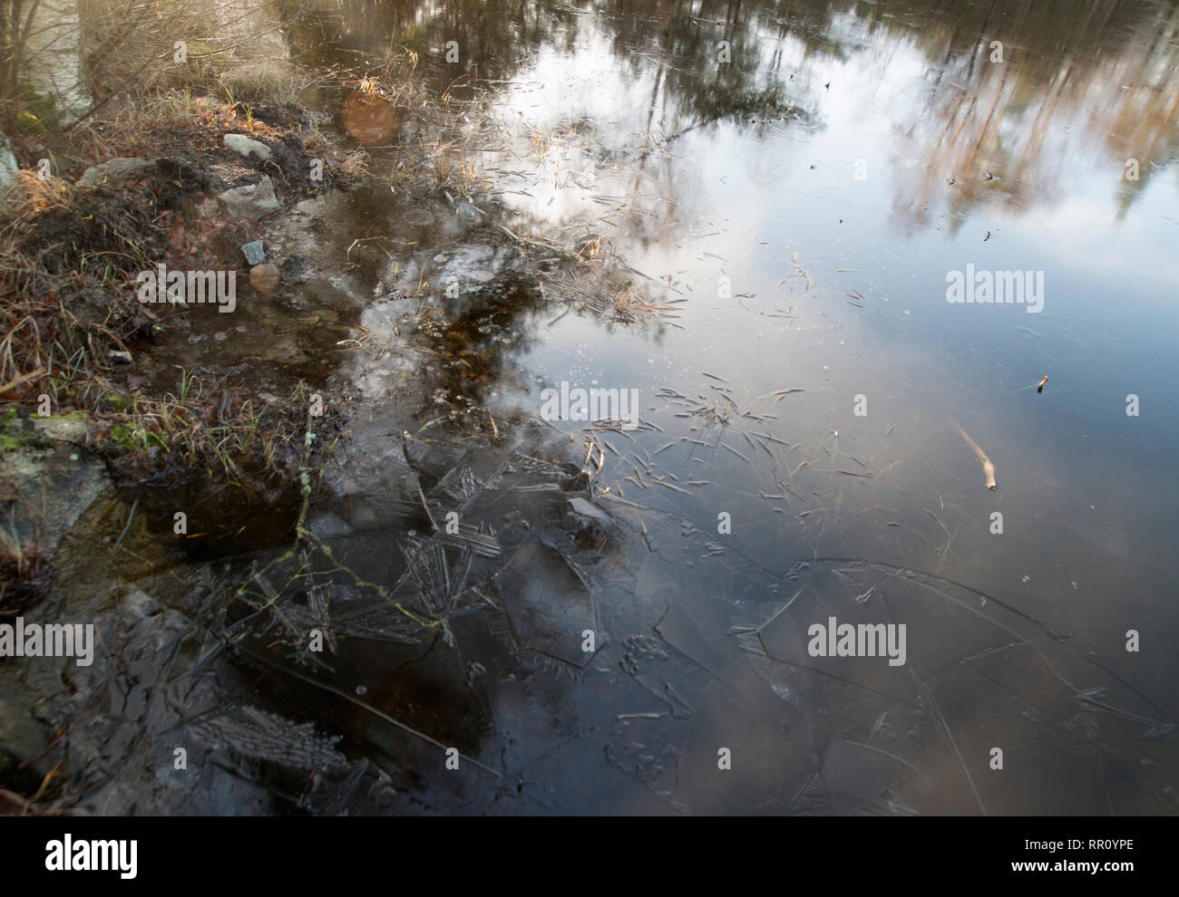 Landschaft, Gebiet, Land, Natur, Badlands, National, Park, Insel, Taiga, Boreal, Wald, Feuchtgebiete, Gletscher, Felder, Ackerland, Landschaftsformen, Berge, Hügel Stockfoto