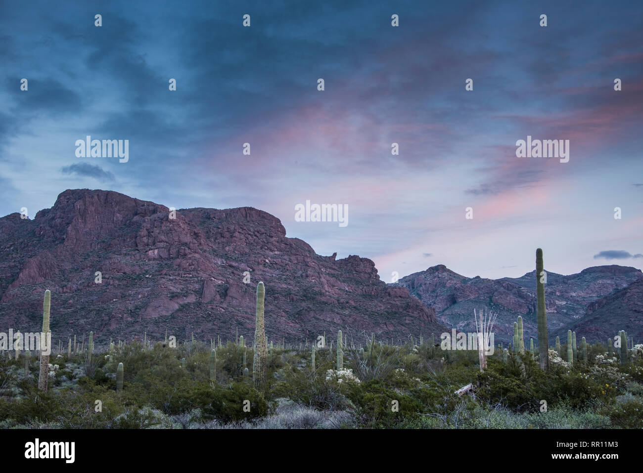 Sonnenuntergang malerische Landschaft in den Bergen oberhalb von Alamo Canyon und Campground im Organ Pipe Cactus National Monument, South-Central Arizona Stockfoto