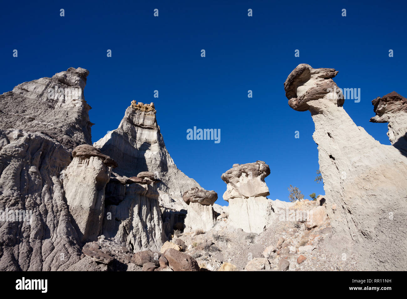 Felsformationen in der Lybrook Badlands, Teil der San Juan Becken des nordwestlichen New Mexico in den USA. Stockfoto
