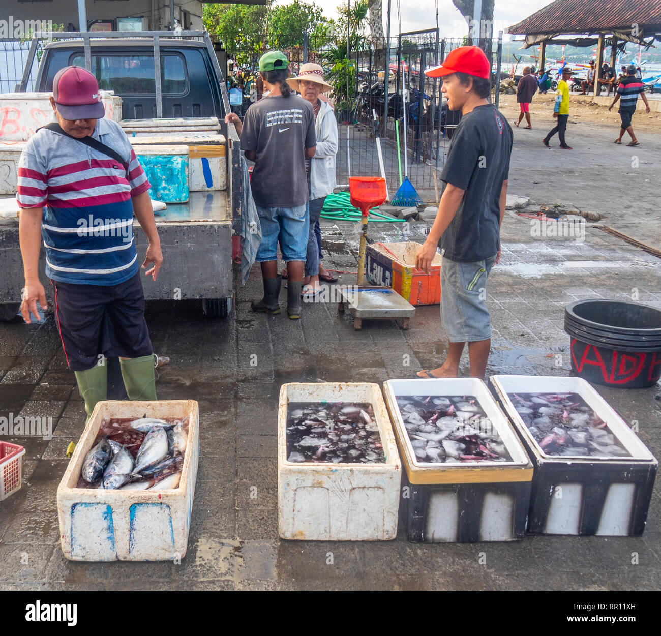 Fischhändler Verkauf von frischem Fisch am Kedonganan Fischmarkt, Jimbaran Bay Bali Indonesien. Stockfoto