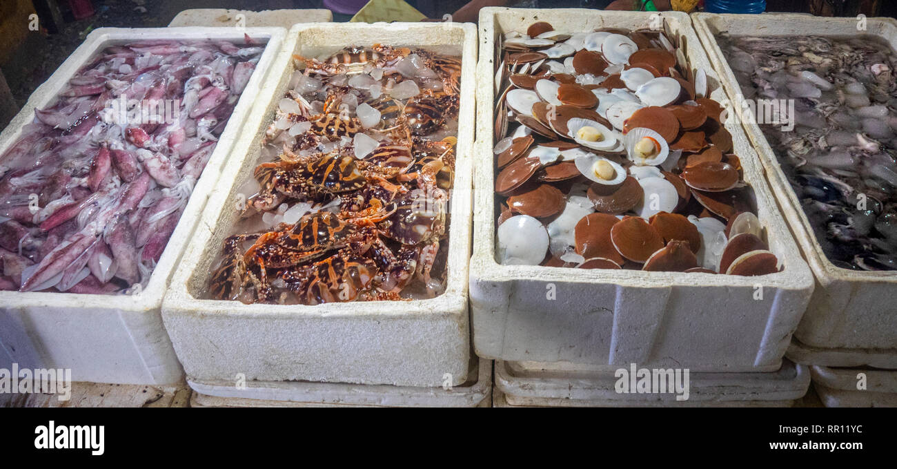 Frischer Fisch, Krabben, Tintenfisch, Muscheln, Tintenfische, in styroporboxen am Kedonganan Fischmarkt, Jimbaran Bay Bali Indonesien. Stockfoto