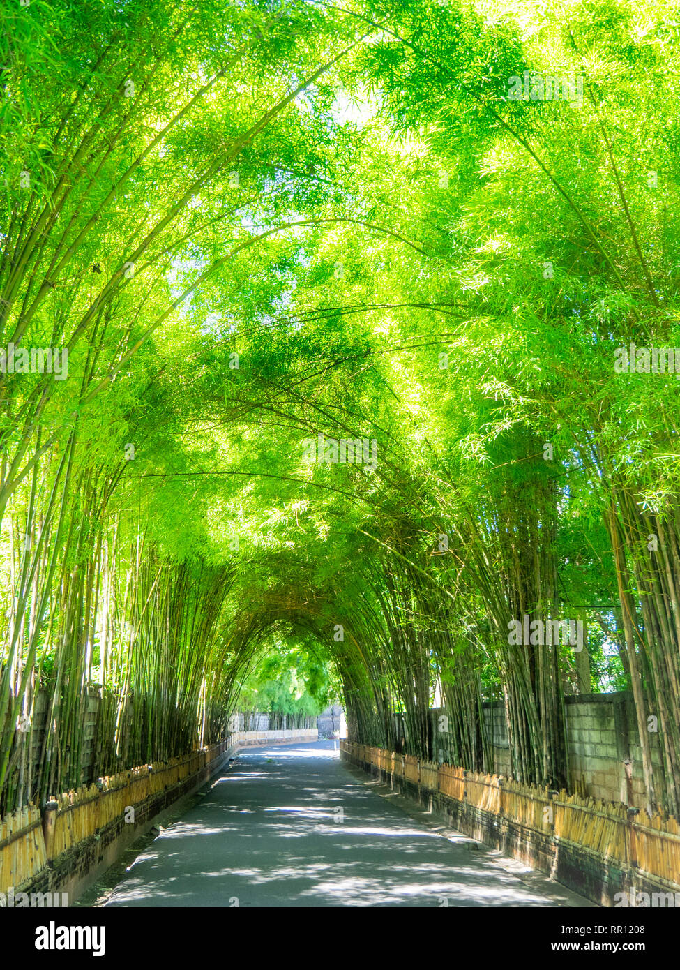 Grünes Laub aus Bambus bilden ein Vordach Tunnel über eine Roain Jimbaran Bay Bali Indonesien. Stockfoto