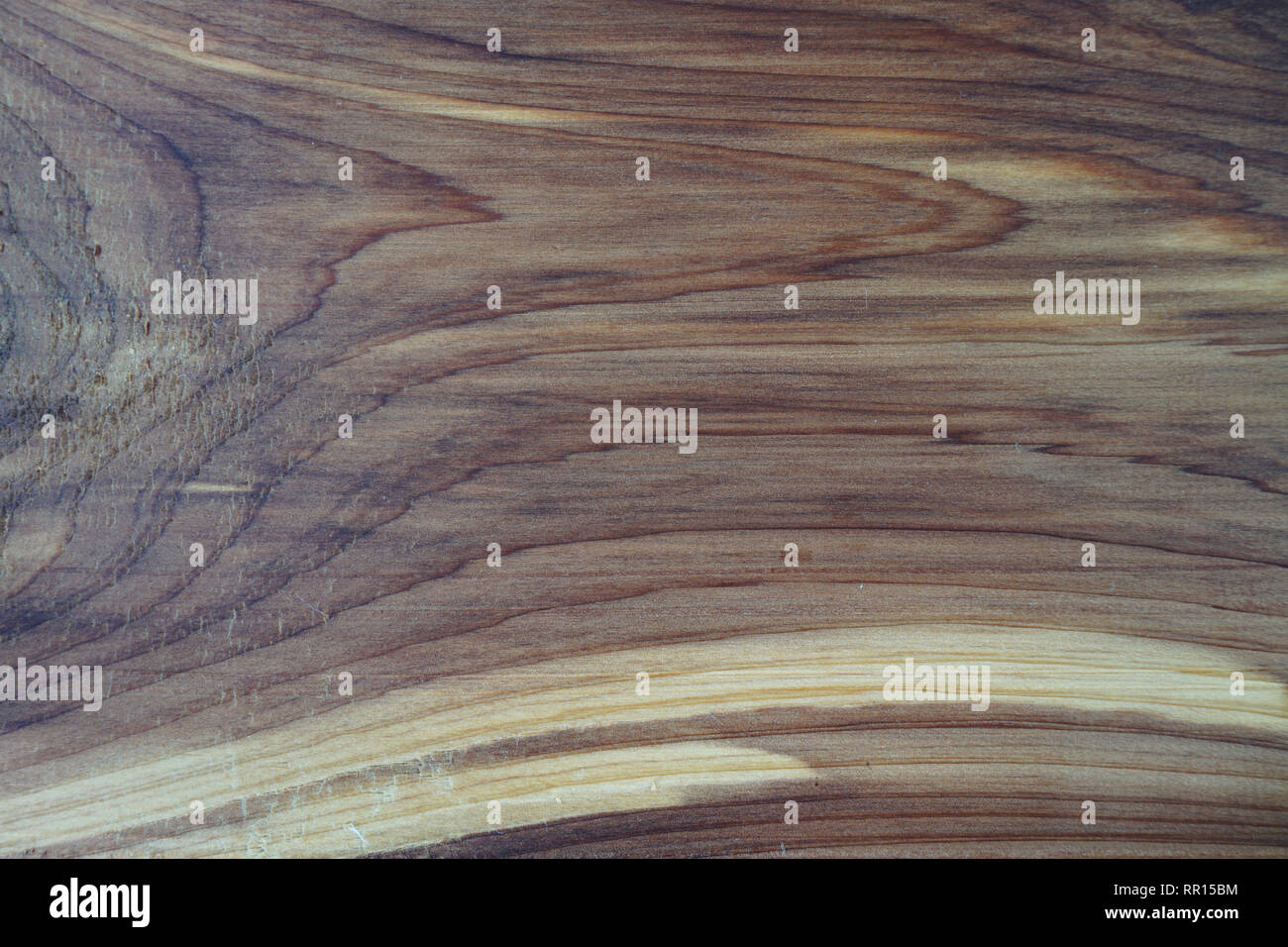 Nahaufnahme einer Zeder Plank, Knoten Textur und natürlichem Holz - Maserung wie Holz Hintergrund Stockfoto