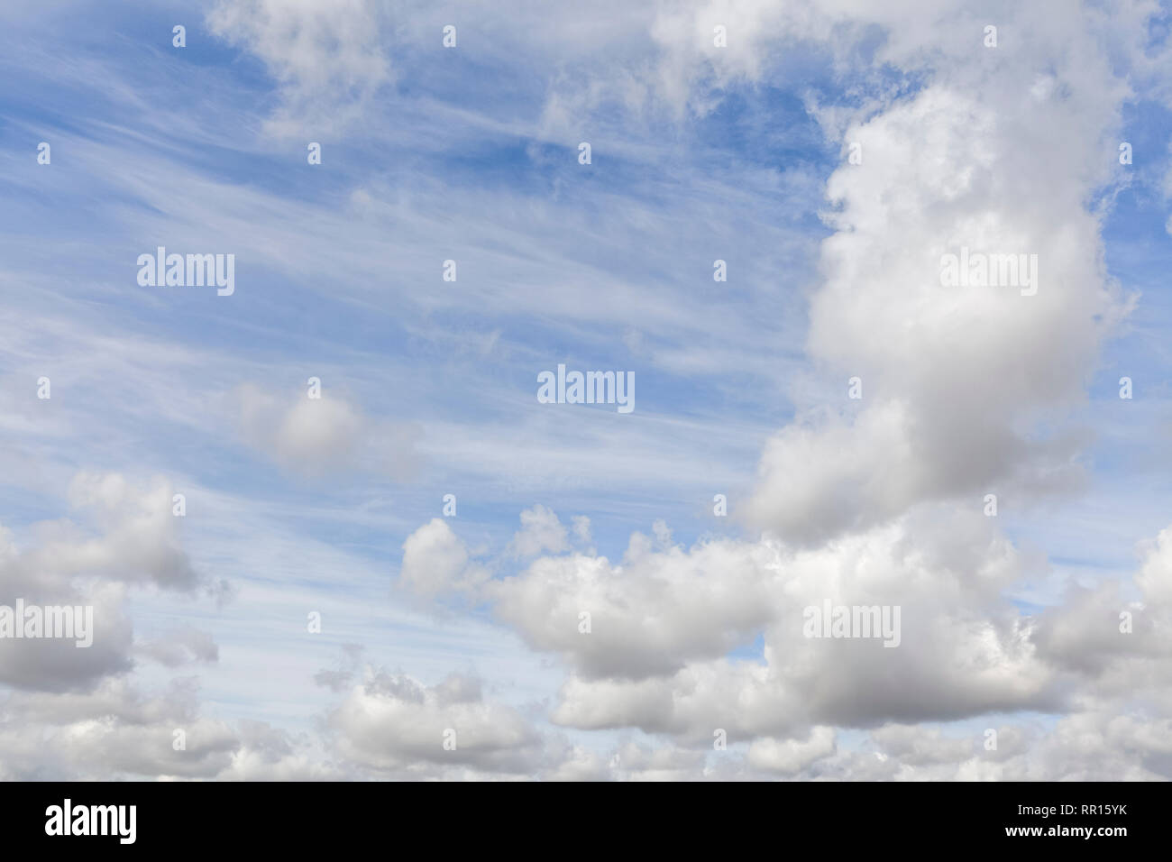 Großer blauer Himmel mit weißen Wolken Hintergrund. Keine Personen oder Horizont nichts als Himmel. Stockfoto