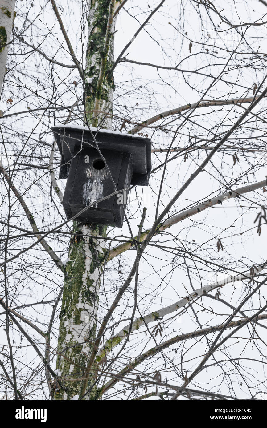 Schwarz Nistkasten Aufhangen Auf Der Birke Im Winter Stockfoto