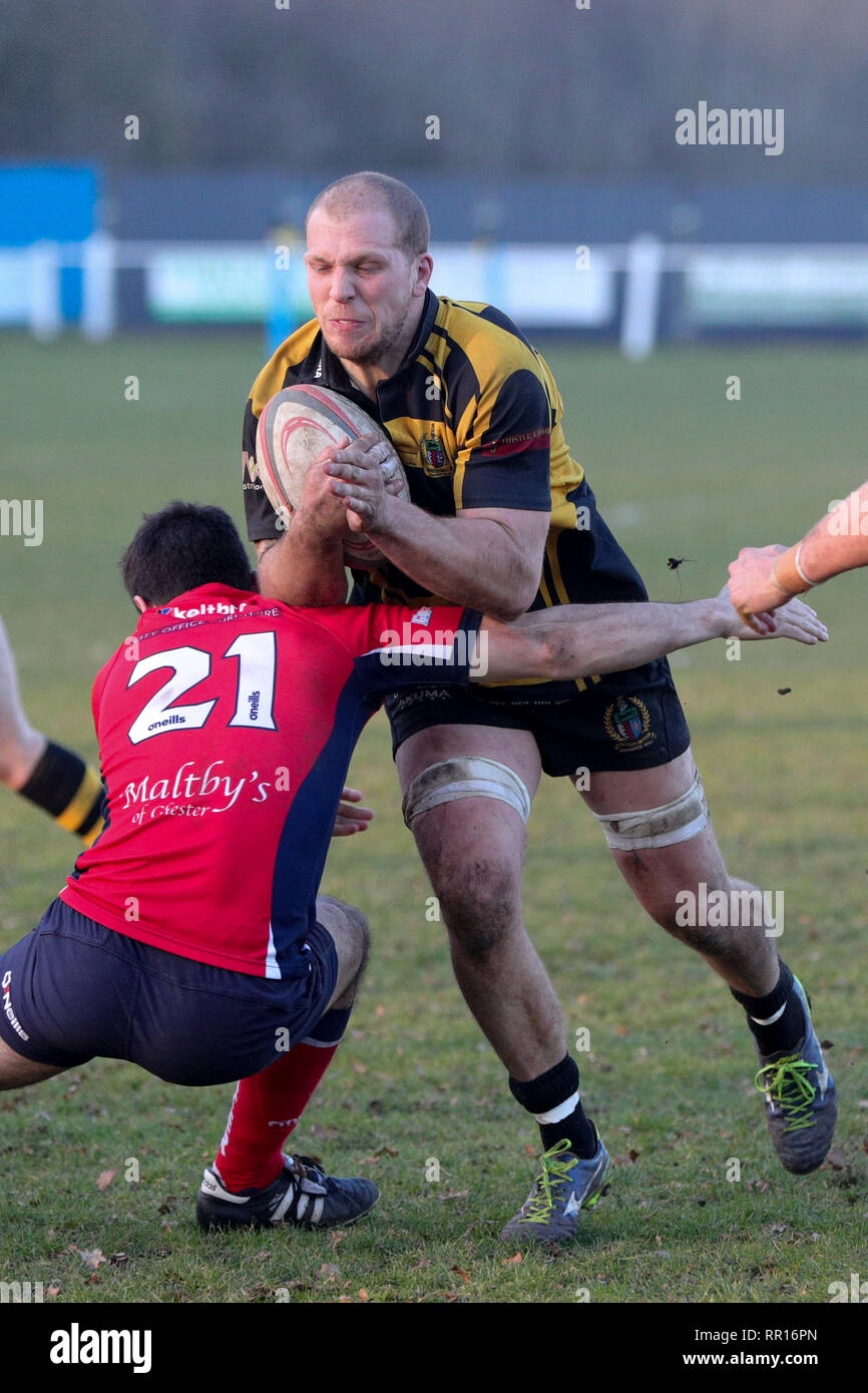 23.02.2019 Hinckley, Leicester, England. Rugby Union, Hinckley rfc v Chester rfc. Henry Povoas auf die Gebühr für Hinckley während der RFU-nationalen Le Stockfoto