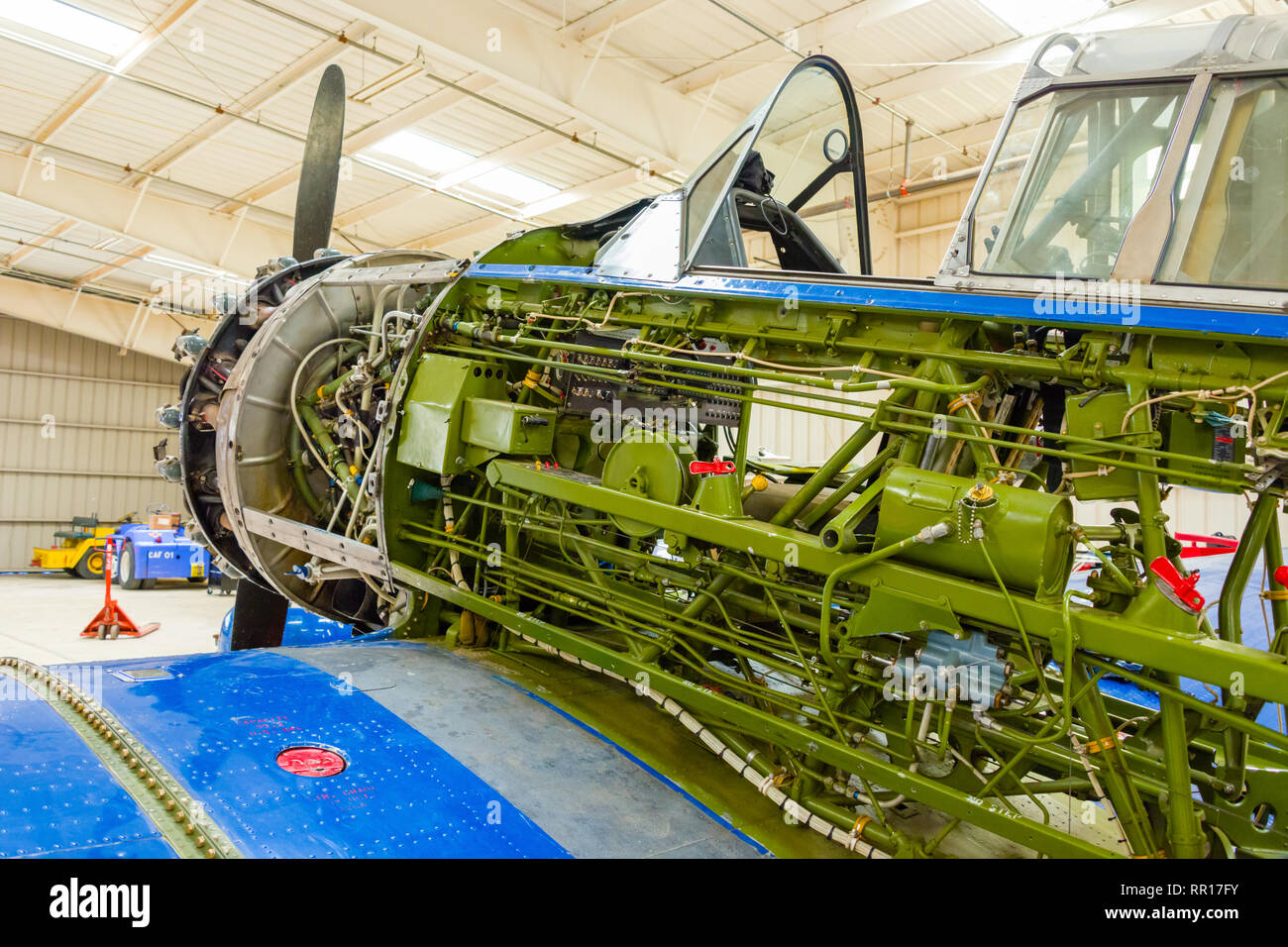 North American SNJ-5 Texan Stockfoto