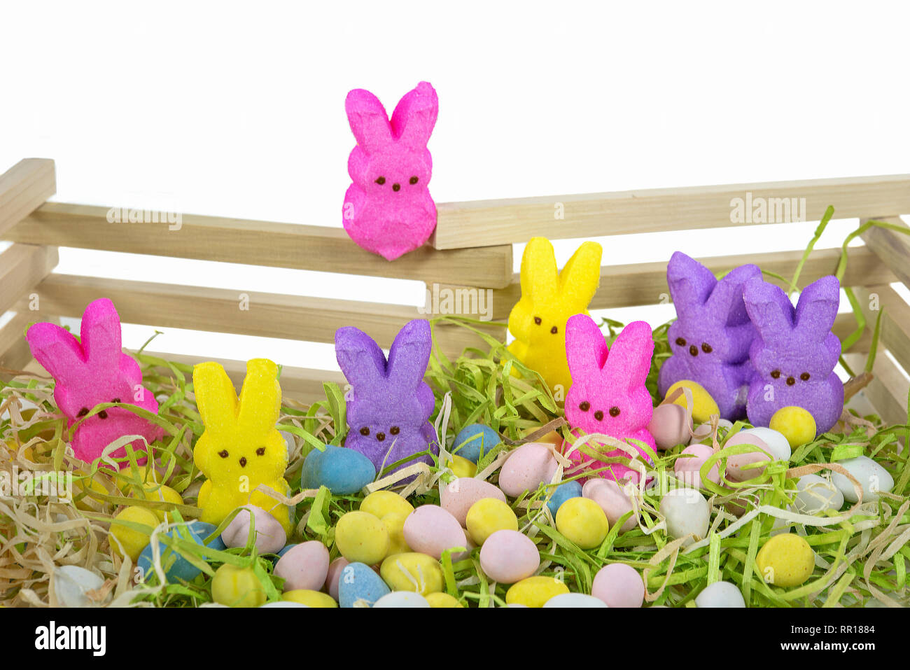 Bunte Osterhase Süßigkeiten mit Pastell Eier und Holzzaun Stockfoto