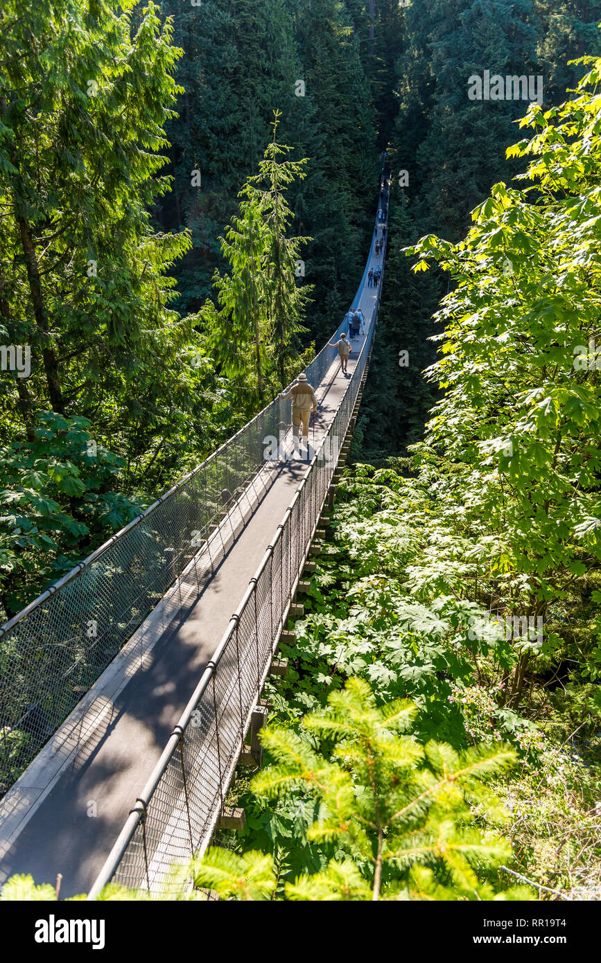 Menschen zu Fuß über die Capilano Suspension Bridge zwischen Bäumen in Kanada Stockfoto