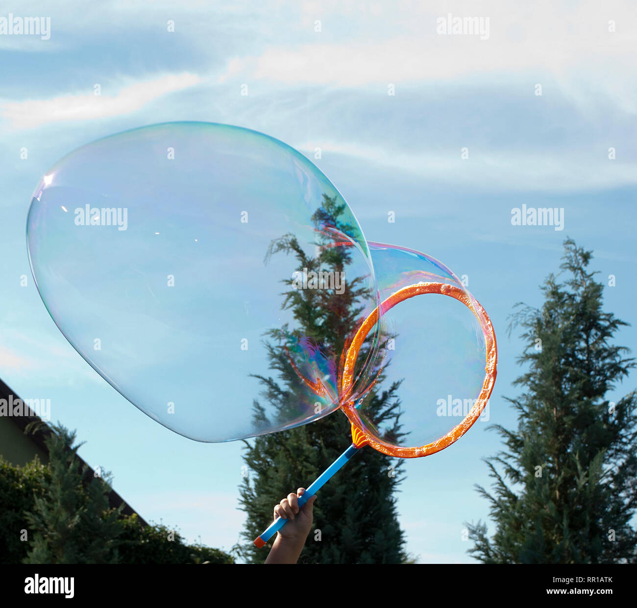 Große Seifenblase vor dem Hintergrund von viel Grün, Sommer Stockfoto