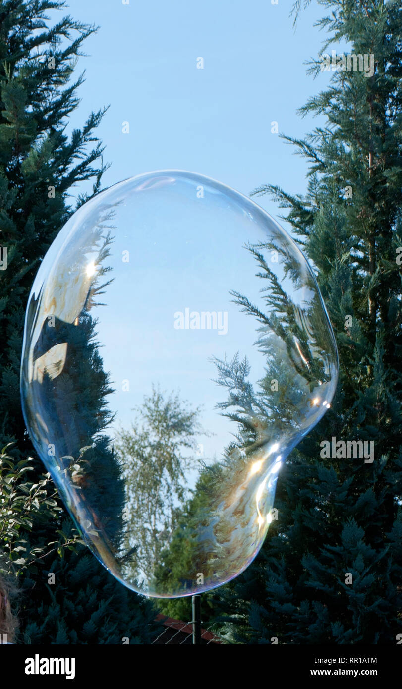 Große Seifenblase vor dem Hintergrund von viel Grün, Sommer Stockfoto