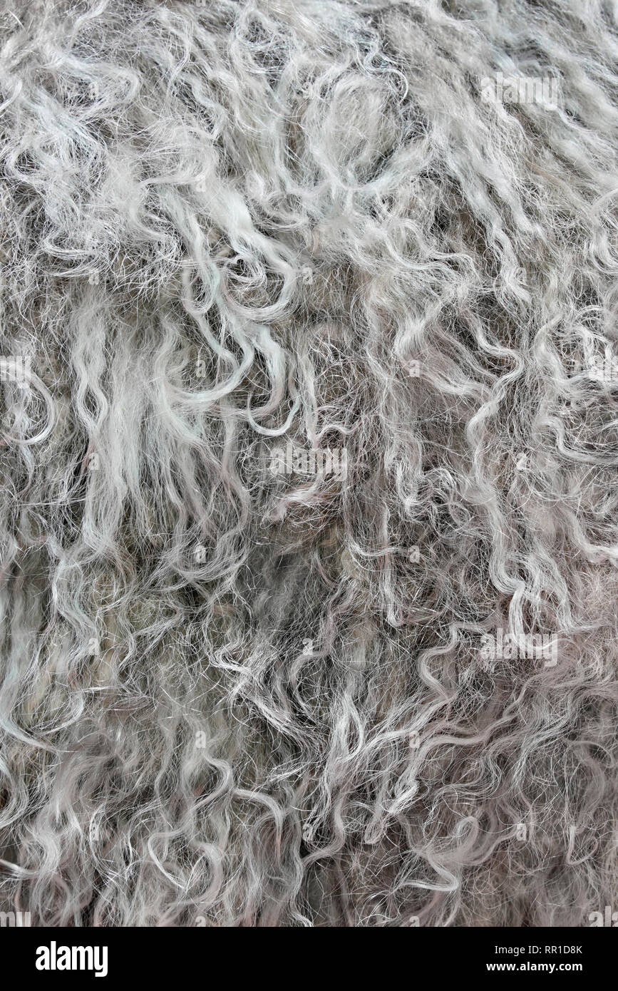 Sehr detaillierte Hintergrund Textur von grauen Pelz aus synthetischem Tier lange wellige und lockiges Haar. Stockfoto