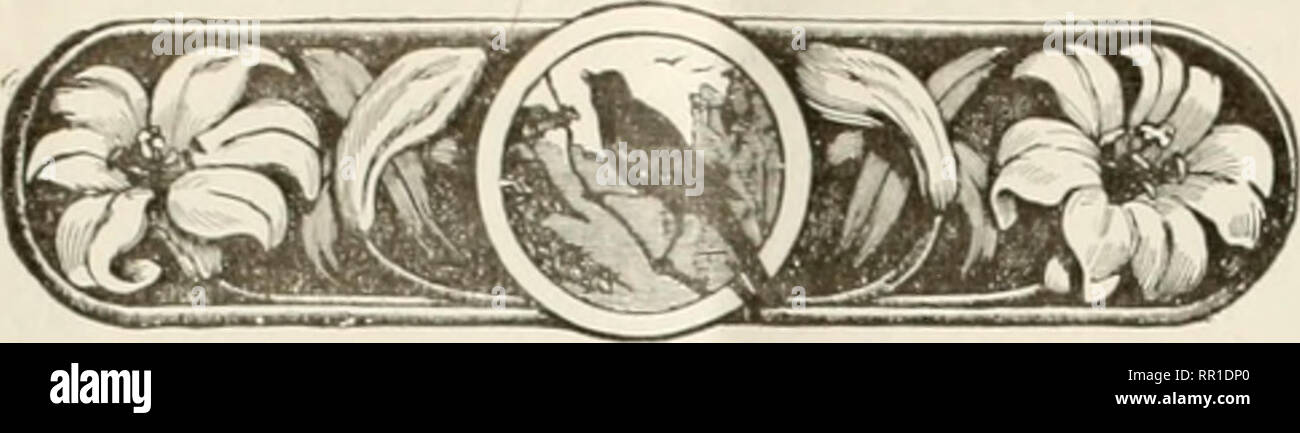 . Landwirtschaftliche Nachrichten. Landwirtschaft - West Indies; Pflanzenkrankheiten - West Indies. 30 Die AGItlcri. Tni. VL NACHRICHTEN. . Km un 16, 191"). Pilz Notizen. COCO-MUTTER UND KAKAO KRANKHEITEN. Eine allgemeine Überprüfung ol Professor Copeland in den letzten 1 k auf der &Lt;loco Mutter, in die Firma Macmillan der Serie der mono Diagramme auf Tropica] Landwirtschaft veröffentlicht, in der die letzte Nummer dieser Zeitschrift erschien, und eine Überprüfung der Arbeit Dr. Van Hall auf Kakao in der gleichen Serie erscheint auf einer anderen Seite in der aktuellen Ausgabe. Jeweils 1 k enthält eine Summar} der Gegenwart wissen] Kante in Bezug auf die Krankheiten der Anlage, die ihren Gegenstand, und Stockfoto
