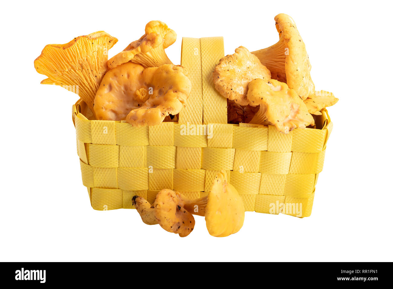 Korb mit frischen Pfifferlingen isoliert auf weißem Stockfoto