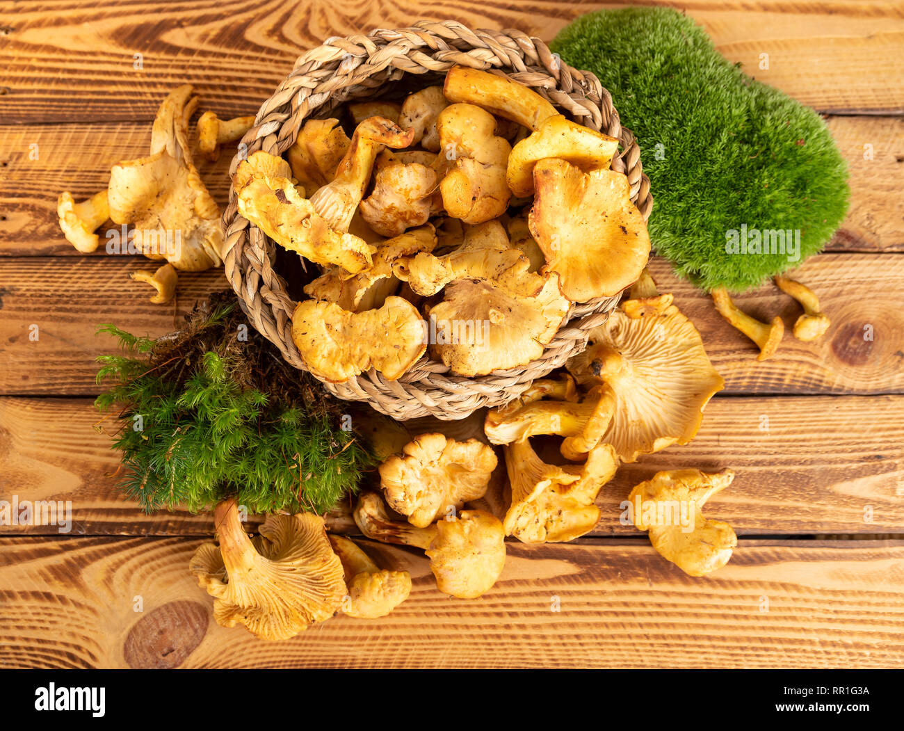 Frische Pfifferlinge oder golden Pfifferlinge über Holz- Hintergrund. Ansicht von oben Stockfoto