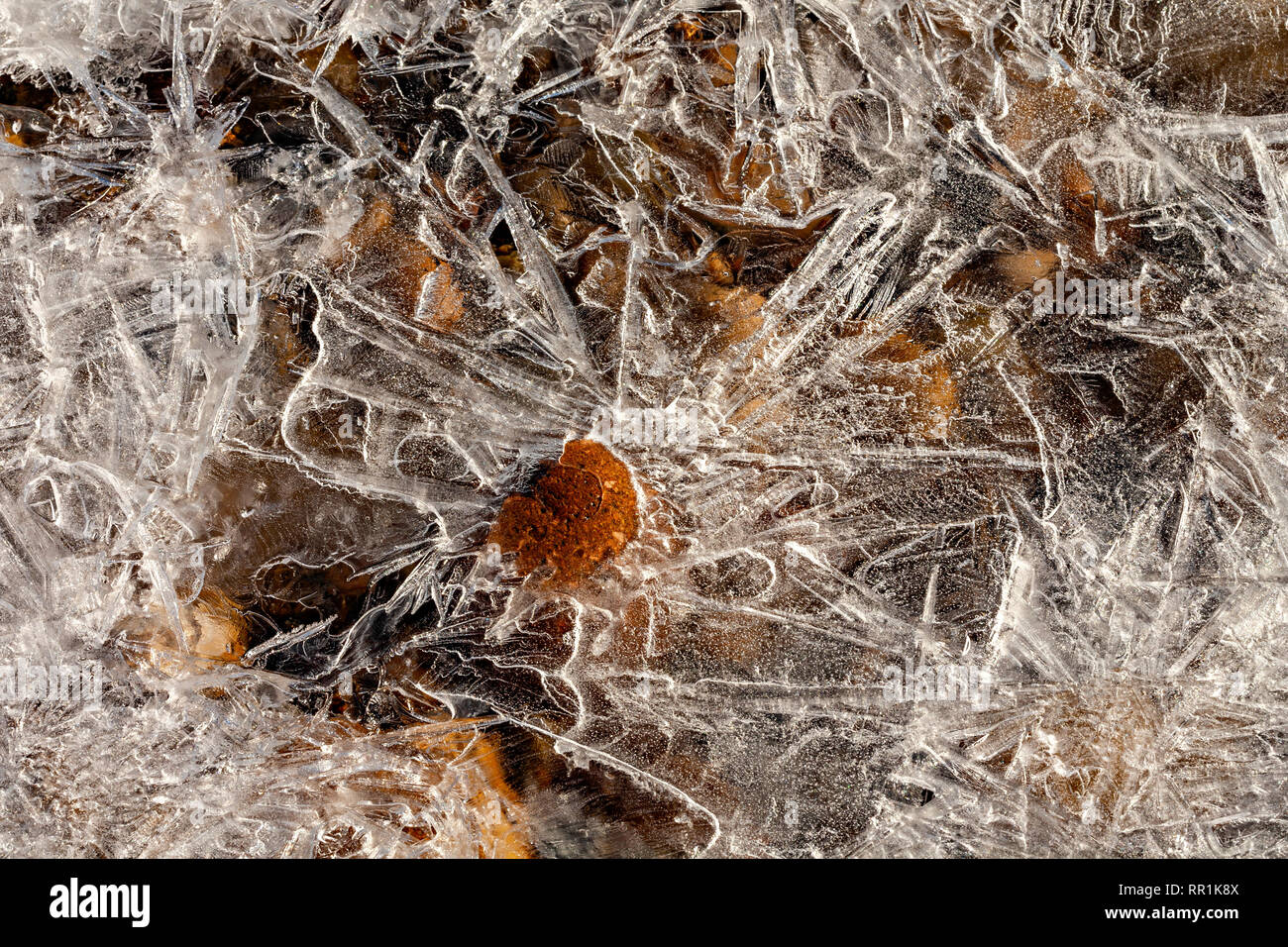 Red Stone im Eis Stockfoto