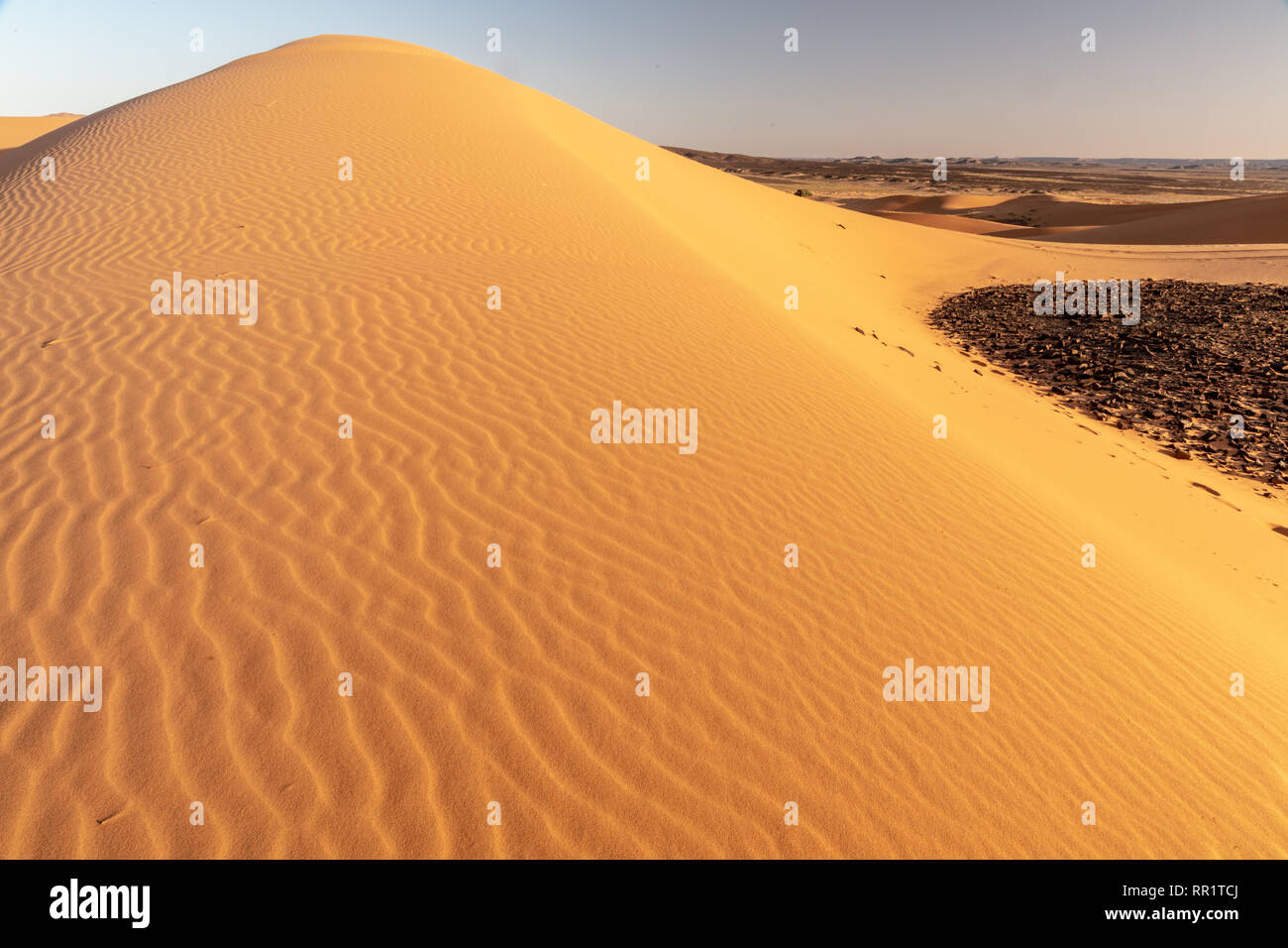 Rippled Sanddünen bei Sonnenuntergang an Mergouza, Sahara, Marokko Stockfoto