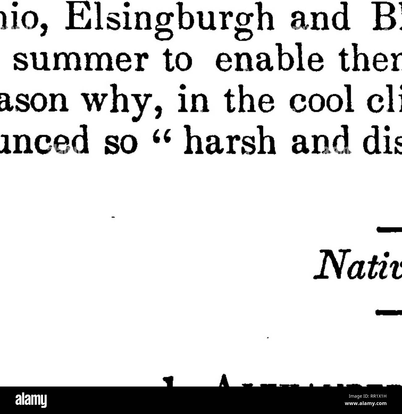 . Die Früchte und Obst Bäume von Amerika;. Obst - Kultur; Obst. 254 DIE TRAUBE. wird gesagt, am östlichen Ufer des Virginia gefunden worden zu sein, von Oberst Langweilig dieses Staates, die edelreiser von Herrn Bartram, der Botaniker präsentiert, von wem es zuerst kultiviert wurde. Die FAD ist nicht ein großer Hoffnungsträger, aber er verdient einen Platz in jedem guten Garten in diesem Land. Die Frucht bleibt bewundernswert, in Töpfen, für den Winter. Die Trauben ziemlich lange, lose, und oft mit kleinen, unvollkommenen Beeren. Beeren, (Abb. 96) Runde, auf lange Halme - hängen - ich eher dünn ing. Haut dünn, in der ersten, "helle Grün, aber Blass rot, wenn sie reif sind. Fleisch Stockfoto