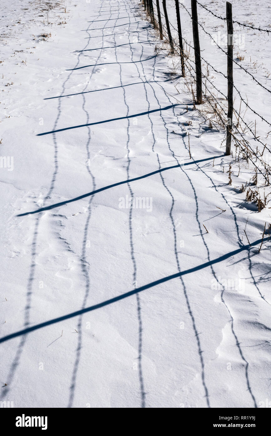 Stacheldraht zaun wirft Schatten auf Neuschnee; Vandaveer Ranch; Salida, Colorado, USA Stockfoto
