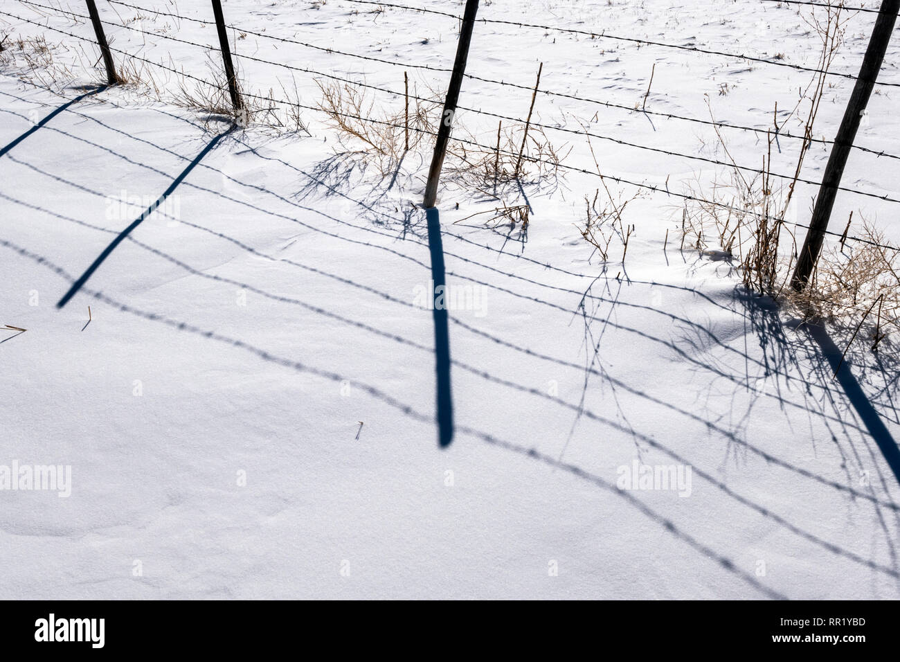 Stacheldraht zaun wirft Schatten auf Neuschnee; Vandaveer Ranch; Salida, Colorado, USA Stockfoto