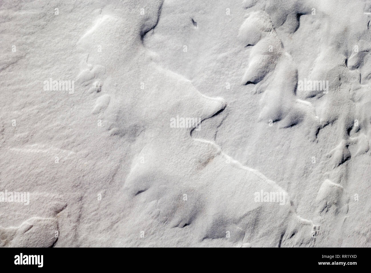 Nahaufnahme von Wind geformten Muster in frischen Schnee Stockfoto